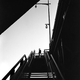 Illustration for article titled Pioneering Photographer's Work Discovered By Lucky Auction-Goer